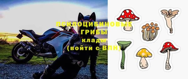 бошки Армянск