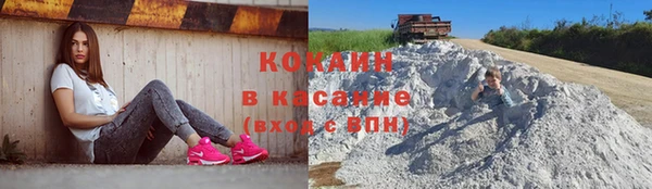 дмт Аркадак