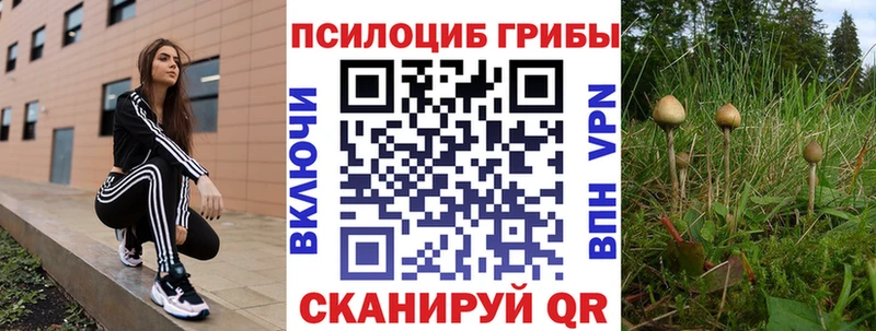 гидра сайт  Волгодонск  Галлюциногенные грибы MAGIC MUSHROOMS 